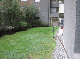 1 Bedroom Apartment for rent in Chile, Santiago, Santiago, Santiago, Chile