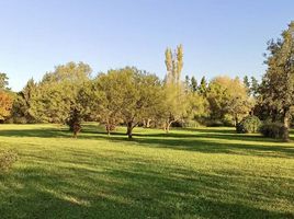  Land for sale in La Plata, Buenos Aires, La Plata