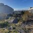  Land for sale in Chubut, Biedma, Chubut