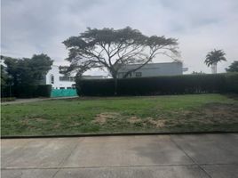  Land for sale in Cali, Valle Del Cauca, Cali