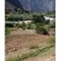  Terreno (Parcela) en venta en Lunahuana, Cañete, Lunahuana