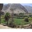  Terreno (Parcela) en venta en Lunahuana, Cañete, Lunahuana