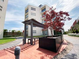 2 Bedroom Apartment for sale in San Gregorio Atzompa, Puebla, San Gregorio Atzompa, Puebla