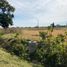  Terreno (Parcela) en venta en San Jeronimo Tecuanipan, Puebla, San Jeronimo Tecuanipan