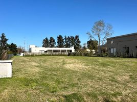  Land for sale in Moreno, Buenos Aires, Moreno
