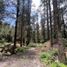 Land for sale in Pueblo Nuevo, Durango, Pueblo Nuevo