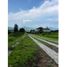  Land for sale in Zinapecuaro, Michoacan, Zinapecuaro