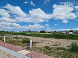 Terreno (Parcela) en venta en Lagos De Moreno, Jalisco, Lagos De Moreno
