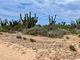  Grundstück zu verkaufen in La Paz, Baja California Sur, La Paz