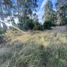  Land for sale in Tandil, Buenos Aires, Tandil