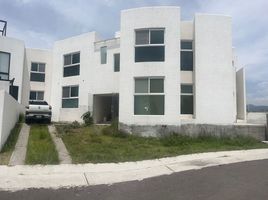 2 Schlafzimmer Wohnung zu vermieten in Queretaro, Queretaro, Queretaro, Queretaro, Mexiko