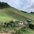 10 Bedroom Villa for sale in Versalles, Valle Del Cauca, Versalles