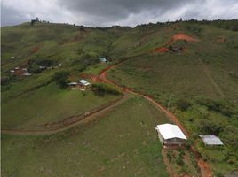  Terreno (Parcela) en venta en Valle Del Cauca, Dagua, Valle Del Cauca