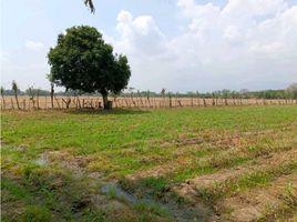  Terreno (Parcela) en venta en Palmira, Valle Del Cauca, Palmira