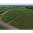  Land for sale in Florida, Valle Del Cauca, Florida