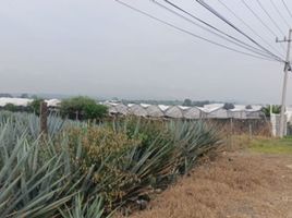  Terreno (Parcela) en venta en Tala, Jalisco, Tala