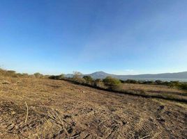  Grundstück zu verkaufen in Jocotepec, Jalisco, Jocotepec