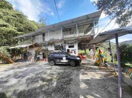 Maison 5 chambre à vendre à Manizales, Caldas, Manizales