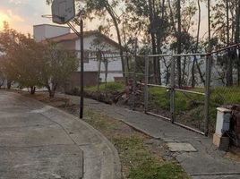 Grundstück zu verkaufen in Naucalpan De Juarez, Mexico, Naucalpan De Juarez