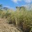  Land for sale in Tuxtla Gutierrez, Chiapas, Tuxtla Gutierrez, Chiapas