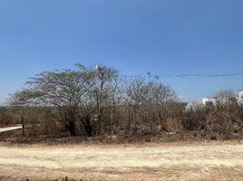  Terrain for sale in Berriozabal, Chiapas, Berriozabal