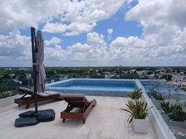 1 Bedroom Apartment for rent in Merida, Yucatan, Merida, Yucatan