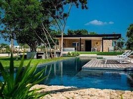  Terreno (Parcela) en venta en Yaxkukul, Yucatán, Yaxkukul, Yucatán