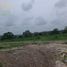  Land for sale in Gonzalez Tamaulipas, Gonzalez