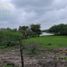  Land for sale in Gonzalez Tamaulipas, Gonzalez