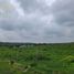  Land for sale in Gonzalez Tamaulipas, Gonzalez