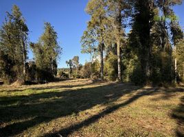  Terreno (Parcela) en venta en Puerto Varas, Llanquihue, Puerto Varas