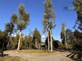  Terreno (Parcela) en venta en Puerto Varas, Llanquihue, Puerto Varas