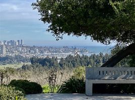  토지을(를) 발파라 이소에서 판매합니다., Vina Del Mar, 발파라 이소, 발파라 이소