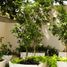 1 Bedroom Apartment for sale in Zapopan, Jalisco, Zapopan, Jalisco