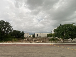  Land for sale in Merida, Yucatan, Merida
