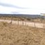  Land for sale in Punilla, Cordoba, Punilla