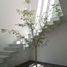 Condominium 3 chambre à vendre à Zapopan, Jalisco, Zapopan