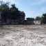  Terreno (Parcela) en alquiler en Tamaulipas, Tampico, Tamaulipas