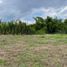  Land for rent in Pirque, Santiago, Pirque, Cordillera