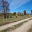  Land for sale in Futaleufu, Chubut, Futaleufu