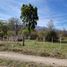  Land for sale in Futaleufu, Chubut, Futaleufu