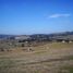  Land for sale in Tandil, Buenos Aires, Tandil