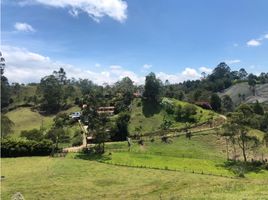  Terreno (Parcela) en venta en El Carmen De Viboral, Antioquia, El Carmen De Viboral