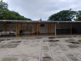  Grundstück zu verkaufen in Colima, Colima, Colima, Colima