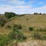  Land for sale in Rionegro, Antioquia, Rionegro