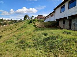  Land for sale in Rionegro, Antioquia, Rionegro