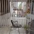 3 Habitación Apartamento en venta en Monterrey, Nuevo León, Monterrey, Nuevo León, México