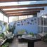 Maison 4 chambre à vendre à Alvaro Obregon, Mexico City, Alvaro Obregon