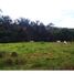  Land for sale in Girardot, Cundinamarca, Girardot