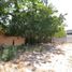  Land for sale in Merida, Yucatan, Merida, Yucatan